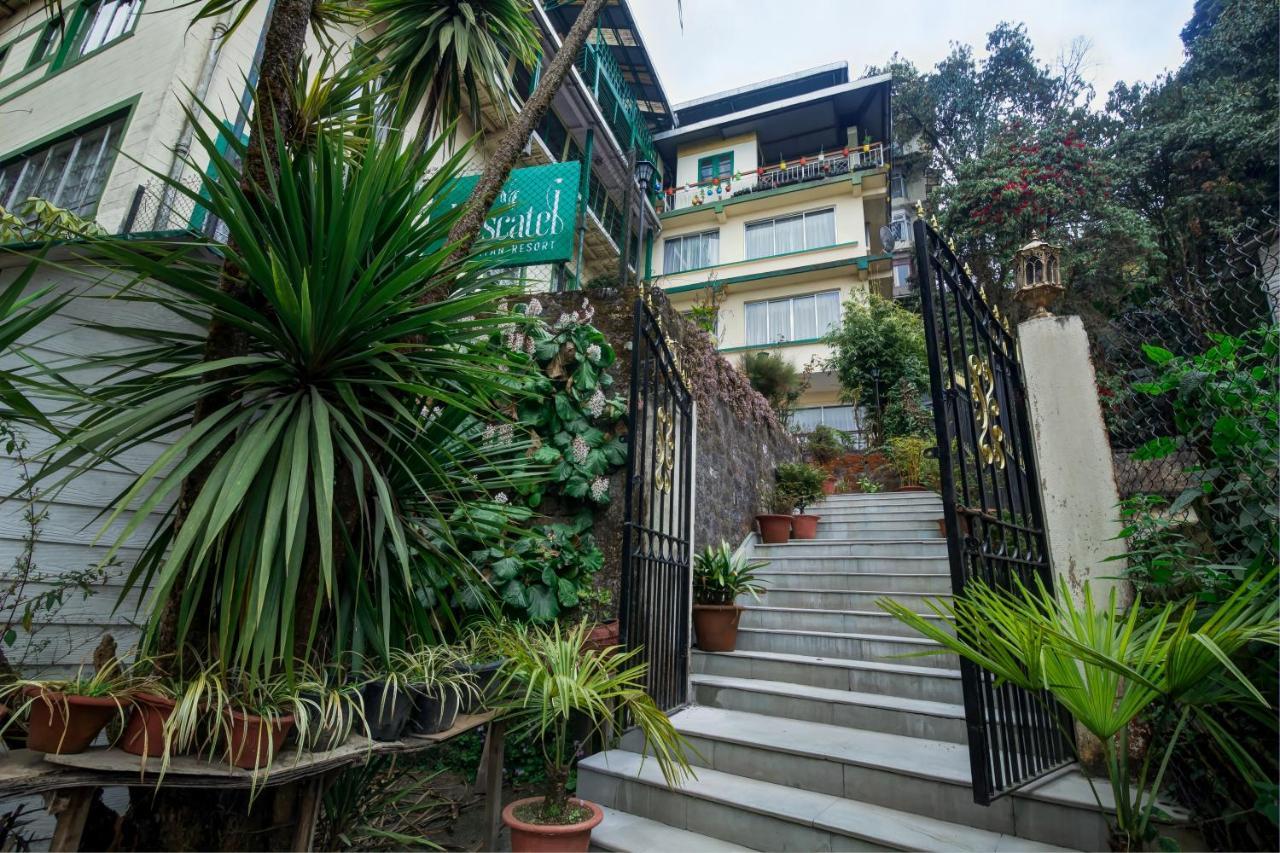 Muscatel Himalayan Resort - 400 Mts From Mall Road Dárdžiling Exteriér fotografie